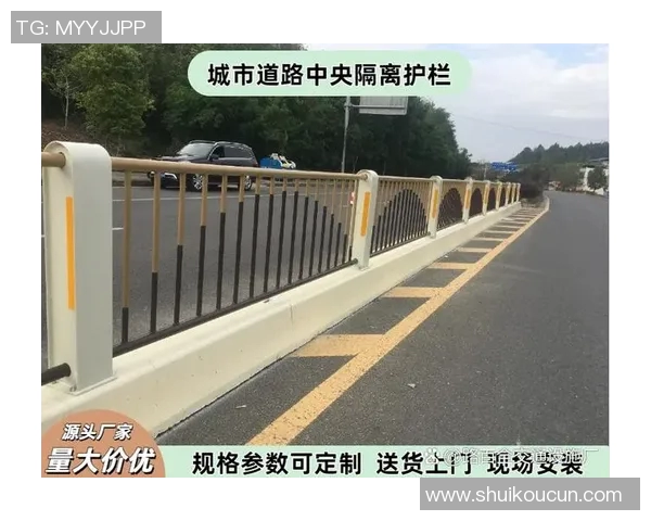 交通护栏在城市道路安全中的重要作用与发展趋势分析