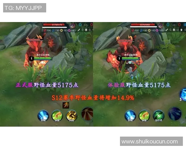 王者荣耀战术解析:深入剖析WE战队的进攻体系与策略运用